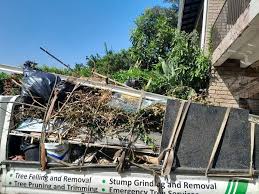 Best Shed Removal  in Arroyo Seco, NM