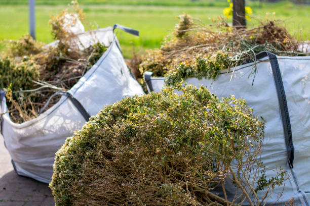 Best Yard Waste Removal  in Arroyo Seco, NM